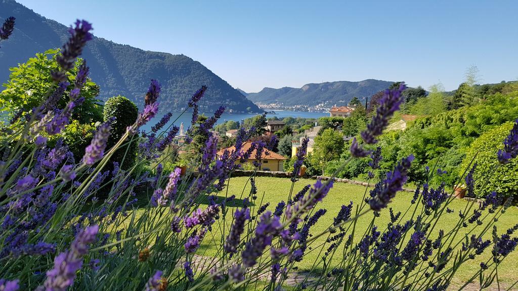 La Finestra Sul Lago Cernobbio Exterior foto